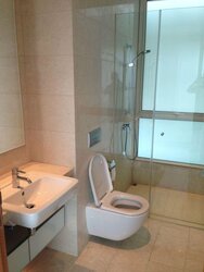 Scotts Highpark (D9), Condominium #457037561